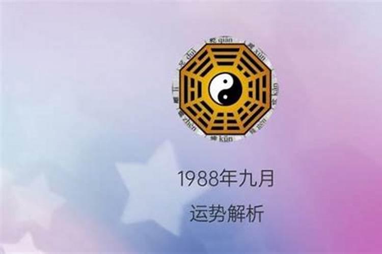 1988年九月初九的命运是什么意思