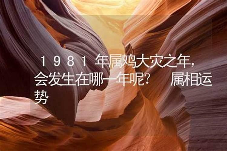 1988哪一年运势最好