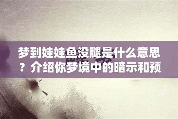 梦到乌龟和娃娃鱼什么意思