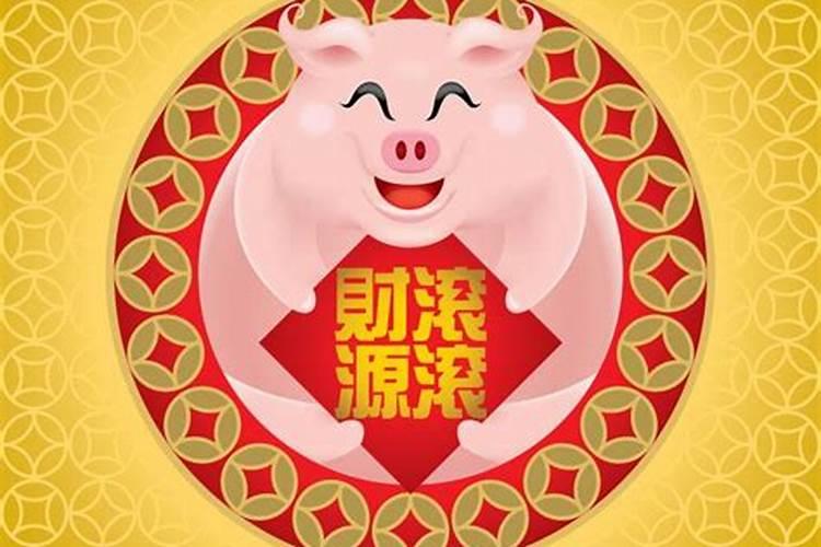 亥猪今年的运气