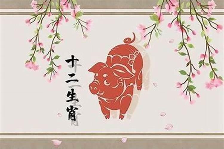 属猪几月生日不好