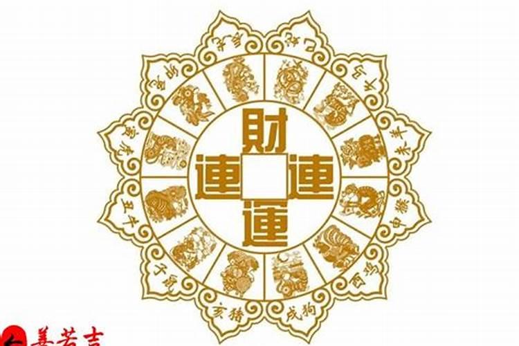 属马的人今年运势怎么样2023麦玲玲