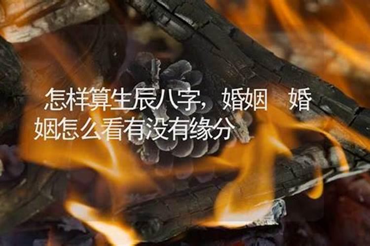 八字怎么看有姻缘没