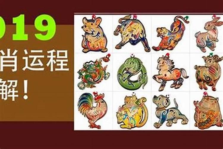 属虎今年犯太岁吗2020年份结婚