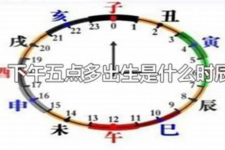 下午五点半生的生辰八字属什么呢