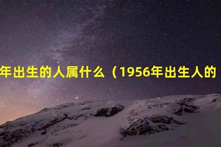 1956年出生的是属什么命