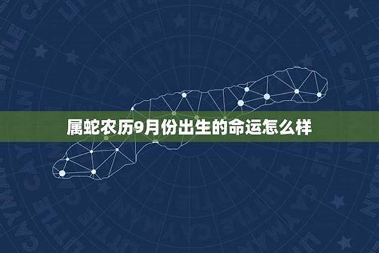 属蛇农历九月份运势如何2021