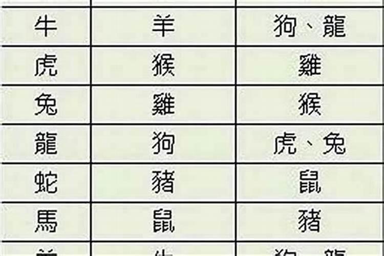 男属兔和女属牛合不合