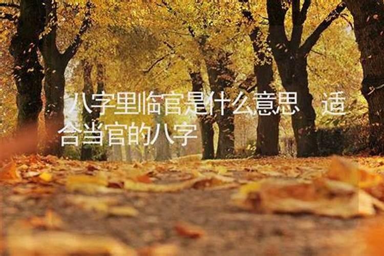 八字里边的临官是什么意思