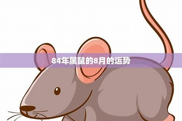 84年属鼠的人2021年8月的运势及运程