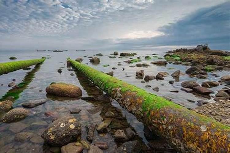 梦见大海的水很浑浊