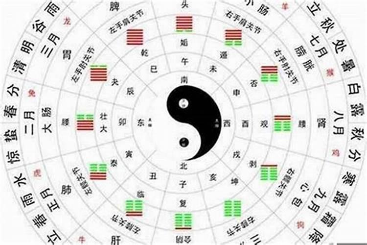 五行八字指的是什么