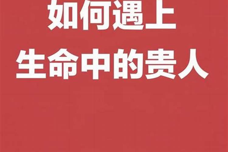 什么样的贵人喜欢老实人