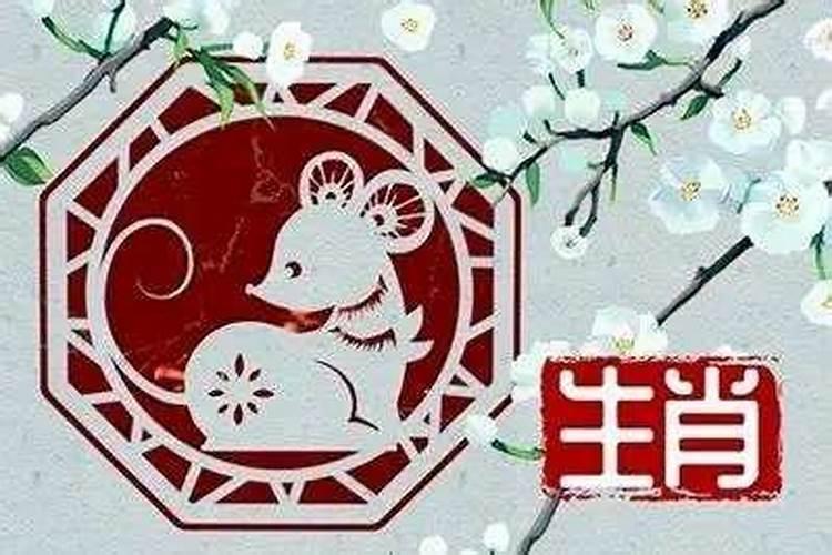 江西清明节上山祭祖