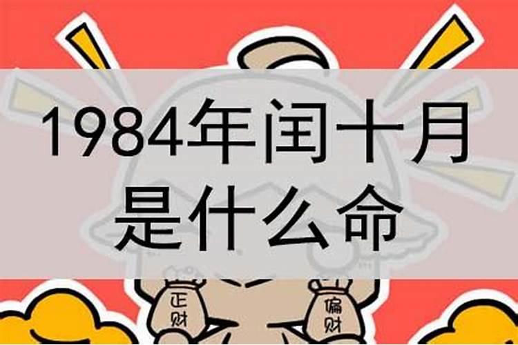 1984年润10月初四出生人的运势