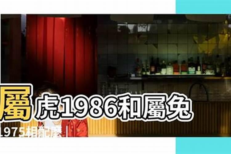 1975男属兔的婚姻