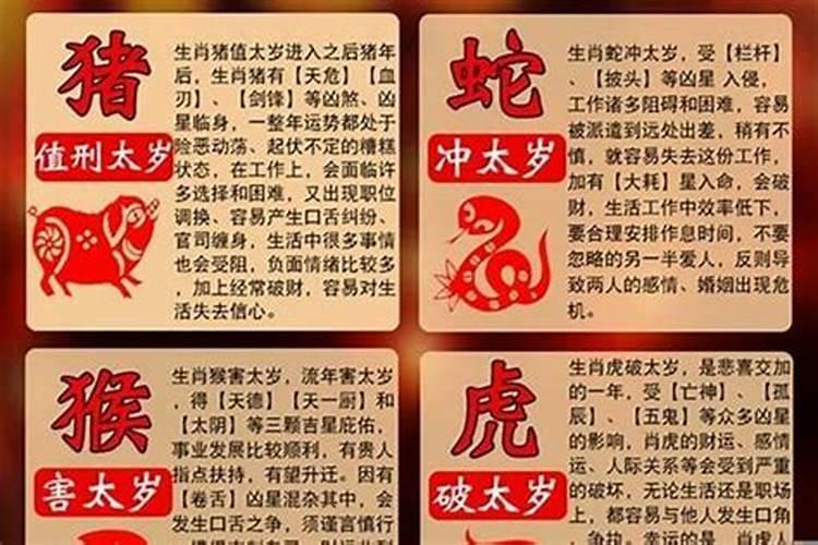 八字合婚主要看哪个宫位