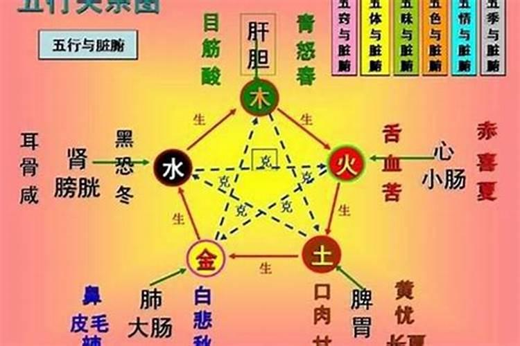 五行里面的木命是什么意思