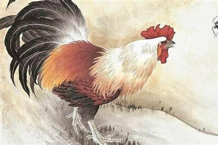 81年属鸡2021年每月运气