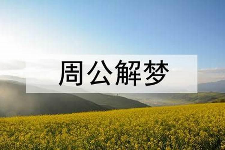 梦见和爸爸谈心意味着什么