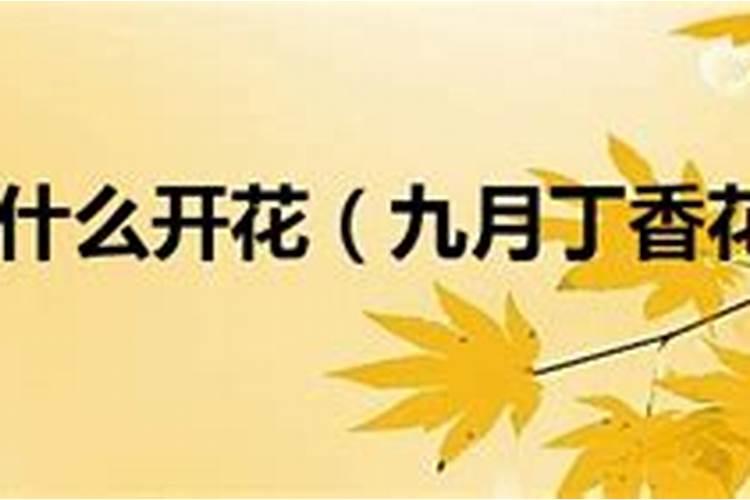 九月初九有什么好运吗女生名字