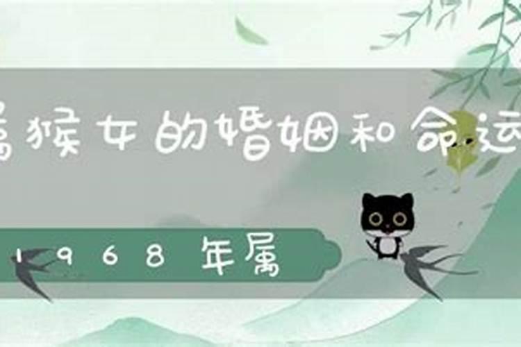 鸡跟猪结婚命运如何