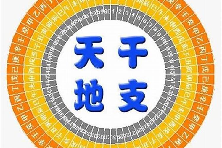 干支有什么婚姻不顺