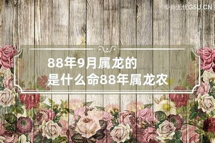 88年农历9月属龙的五行