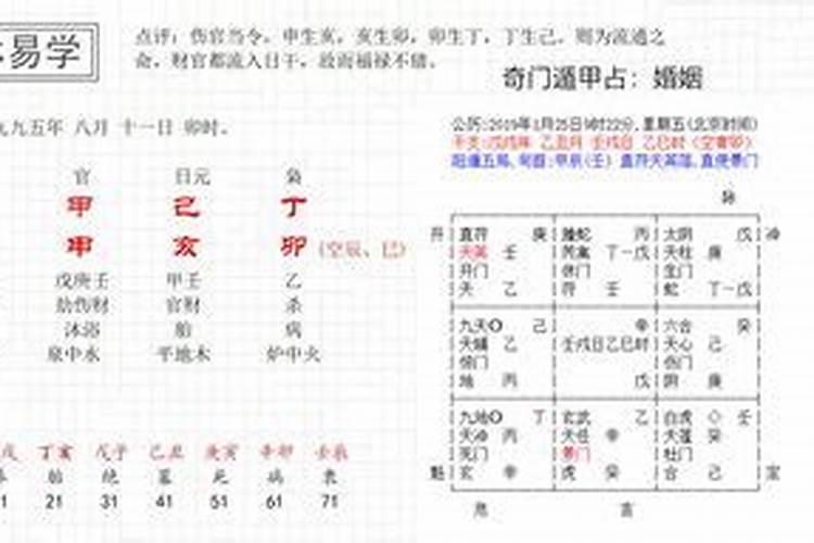 八字两丙合辛什么意思