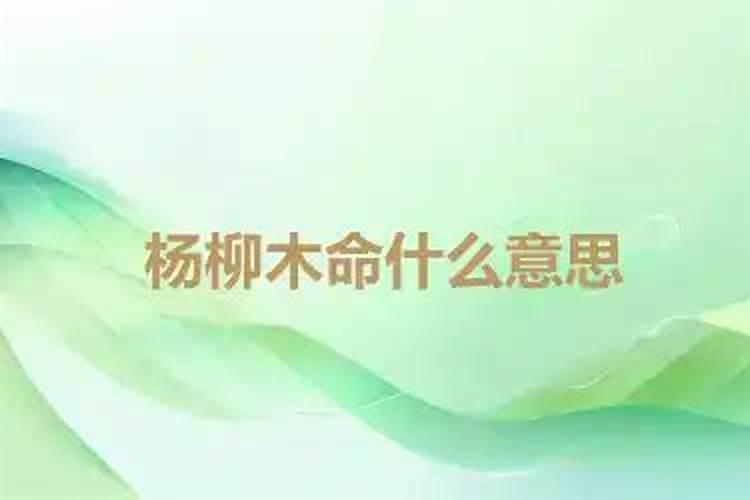 八字纳音是什么