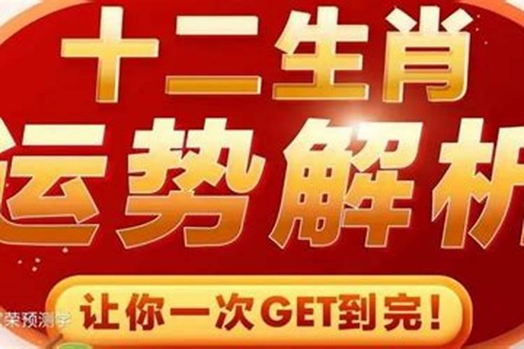 2020年11月30号12生肖运势