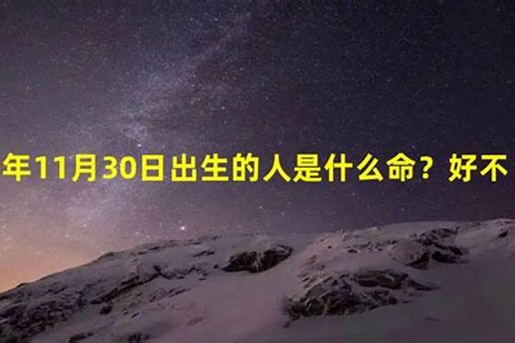 2020年11月30号12生肖运势