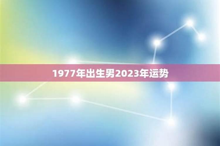 1977年出生男今年运势