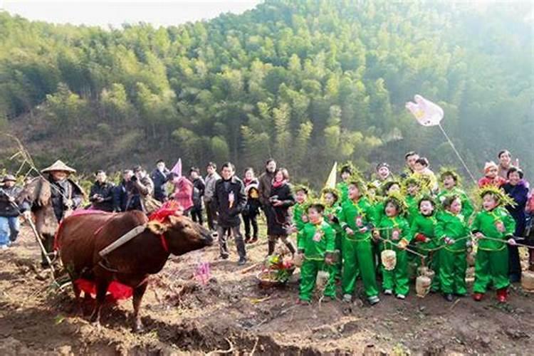 衢州九华立春祭祀