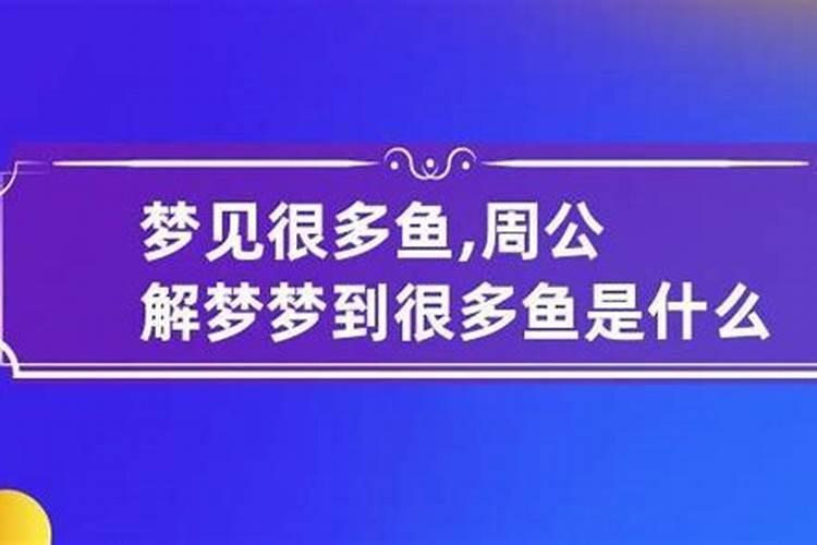 梦见很多鱼搁浅是什么意思