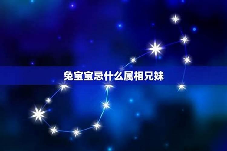 2023年兔宝宝旺哪些生肖父母