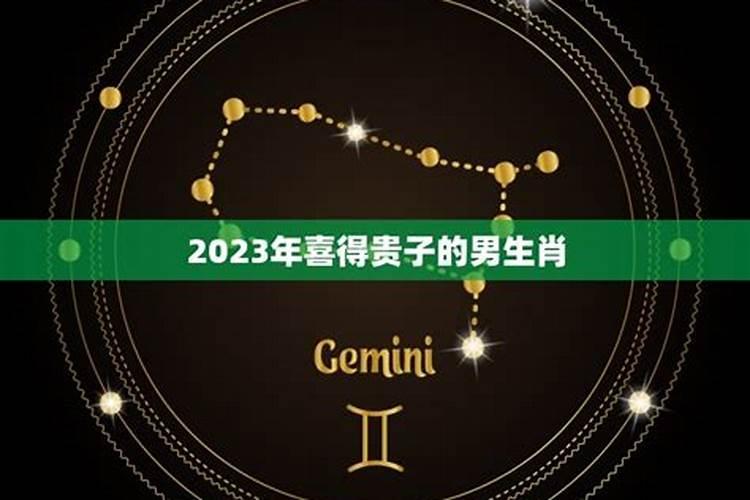 2023年必定生儿子的生肖