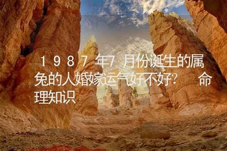 1987年八月十八出生的人运势