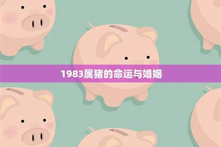 1983年9月属猪是什么命