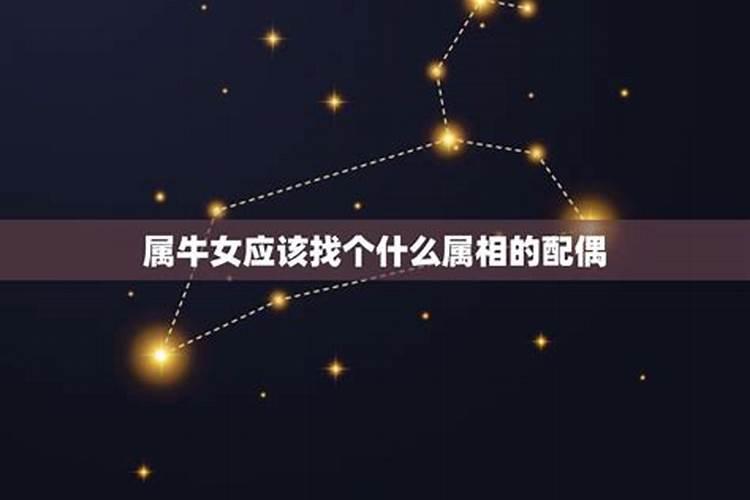 属牛的要找什么样的属相才配