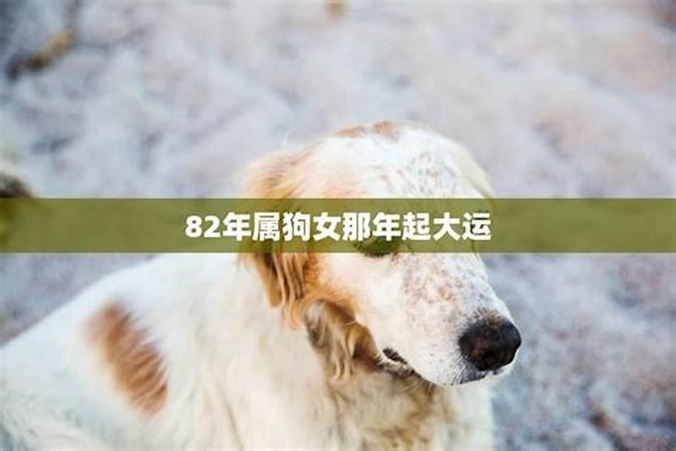 82年属狗6月份什么命运