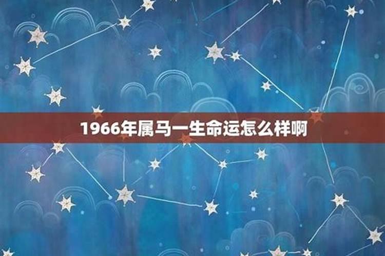 1954年的马一生的命运