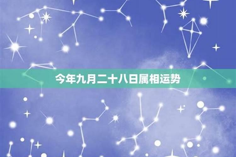 88年农历9月出生2023年运势运程