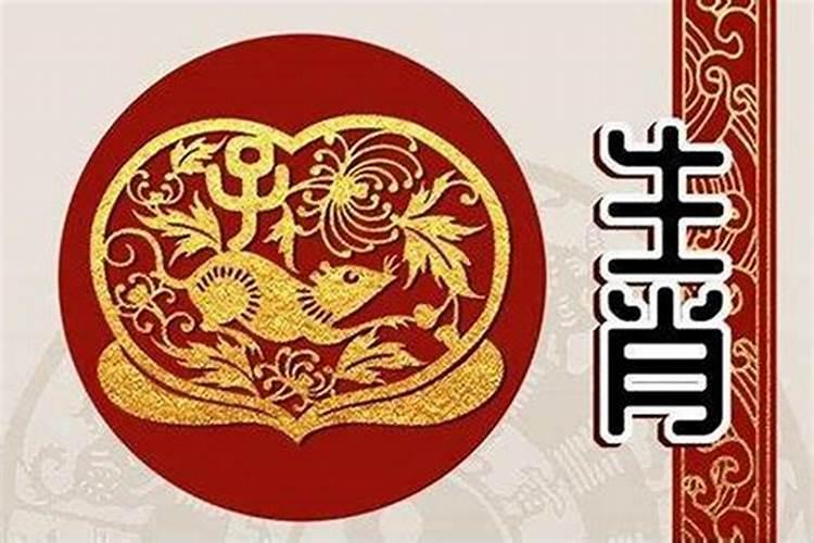 属兔遇到鼠年好不好