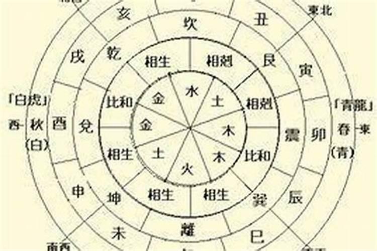 怎么看八字从旺从弱