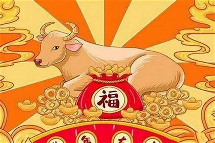 属猪人今年运气好不好