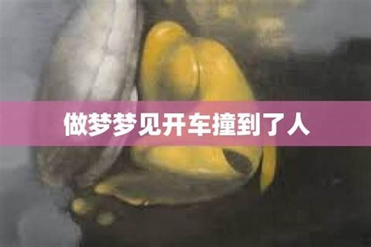 梦见自己开车撞伤人了是什么意思