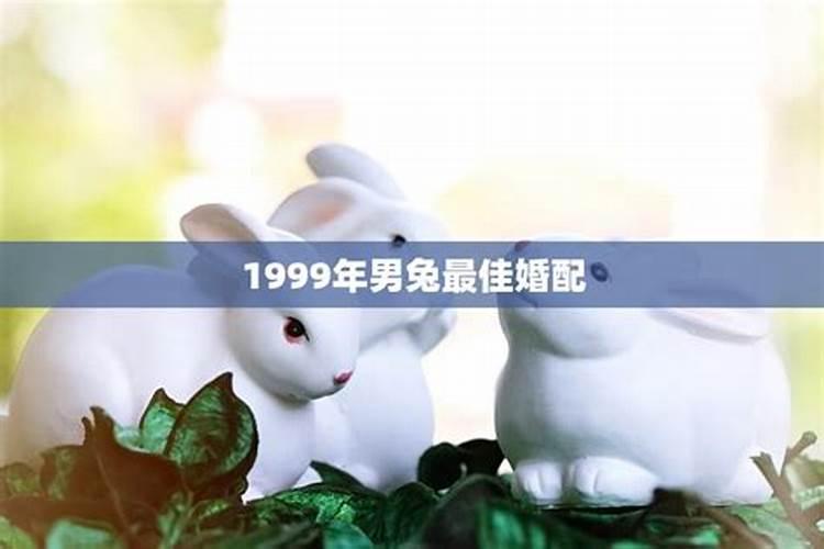 99年男兔的一生的运势