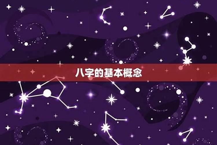 十二星座八字合不合