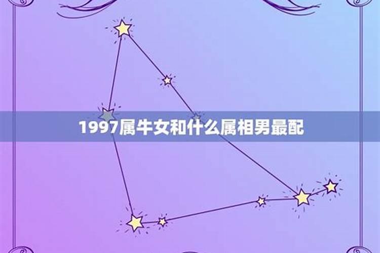 1997生肖牛和什么生肖最配对呢女生